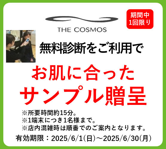 コスモス.jpg
