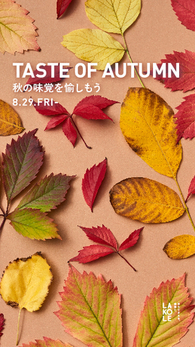 商品の画像